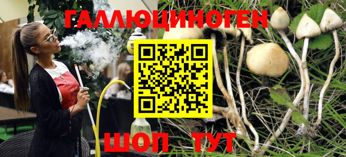 Нерюнгри  Галлюциногенные грибы Magic Shrooms  Вход с VPN  Галлюциногенные грибы Cubensis 